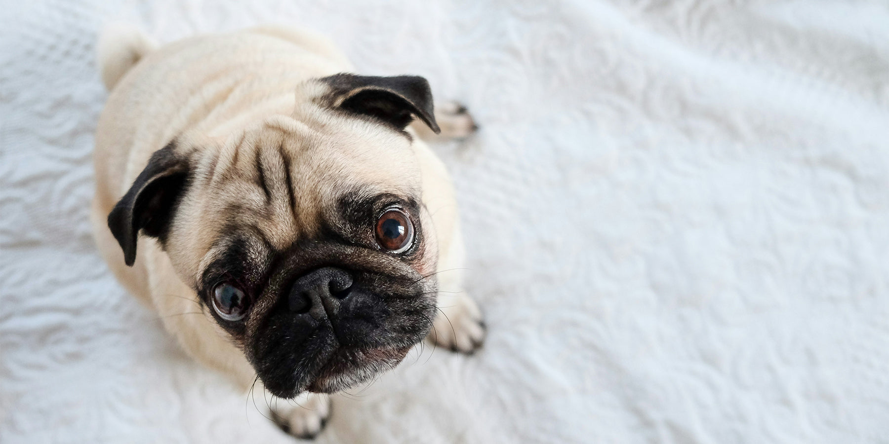 Dynamic vs Static Wrinkles: Can Skincare Really Help?