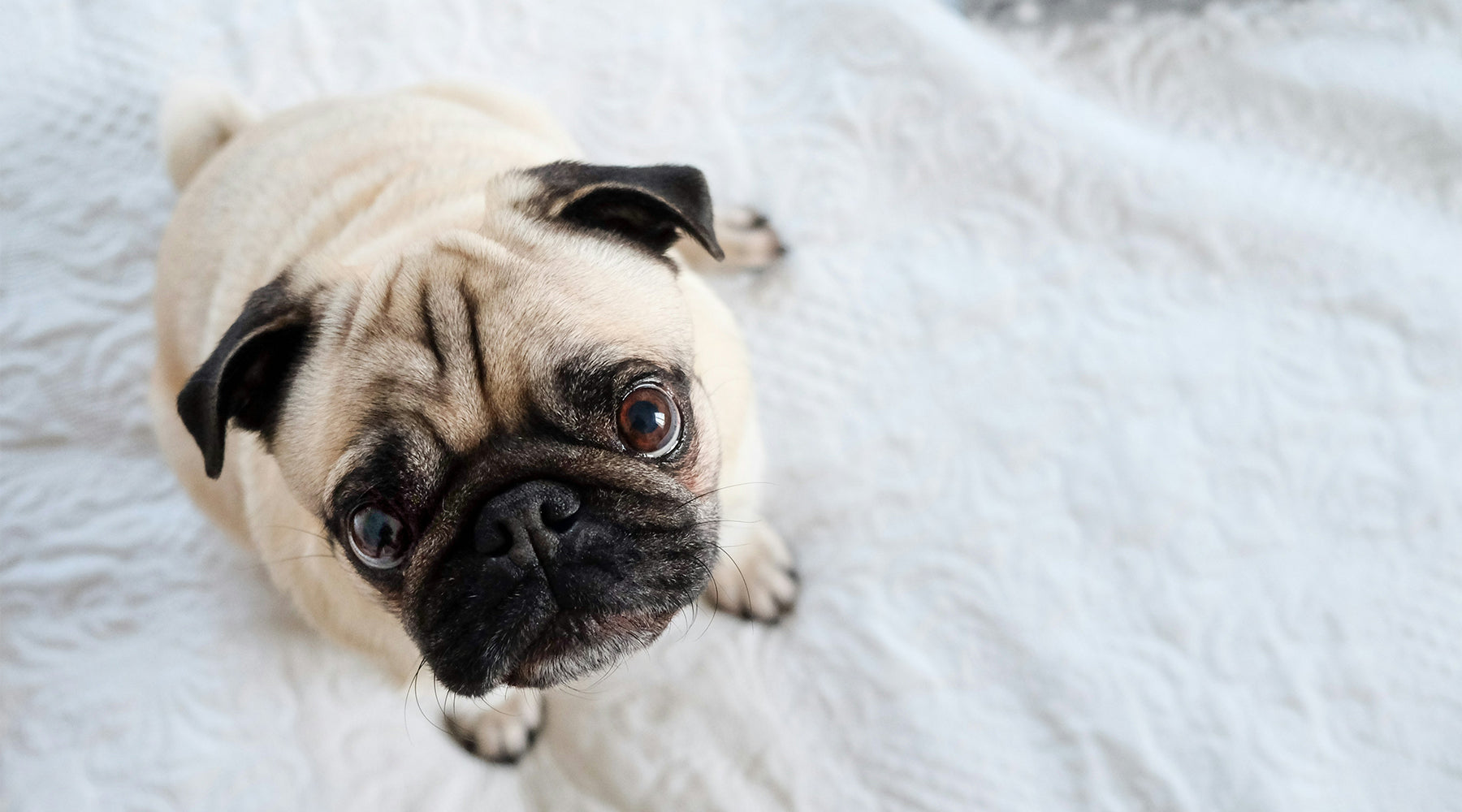 Dynamic vs Static Wrinkles: Can Skincare Really Help?