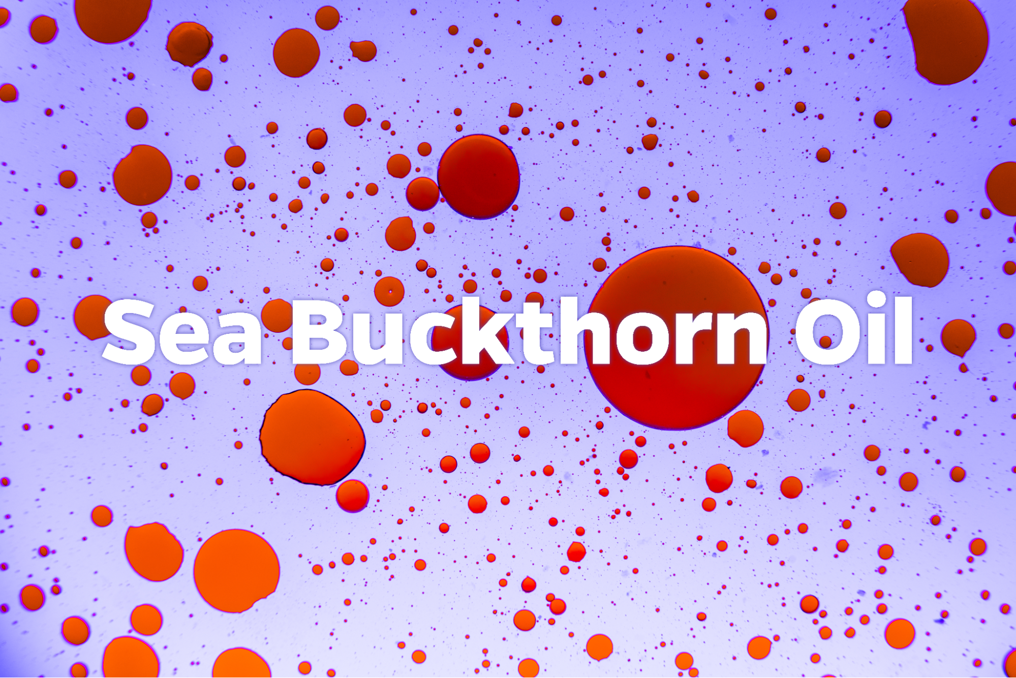 sea buckthorn oil