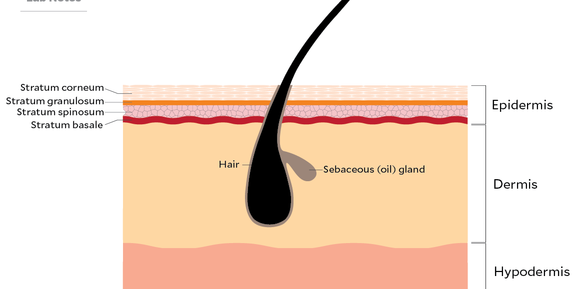 anti-aging skincare